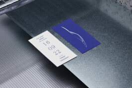 annika soja annika soja